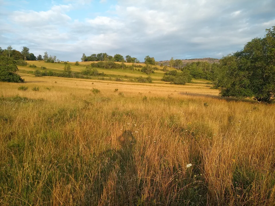 Prés de la ferme à Vouglans, septembre 2023